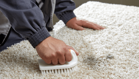 Professional Rug Cleaning Lake Gardens